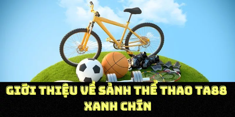 Giới thiệu về sảnh thể thao TA88 xanh chín