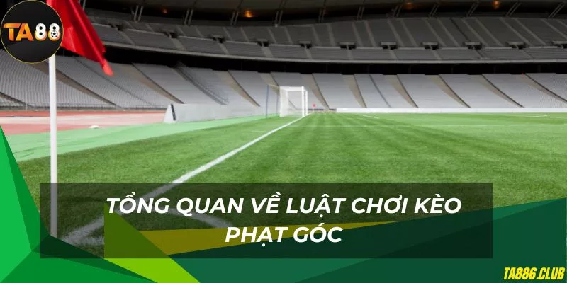 Tổng quan tìm hiểu về kèo phạt góc phổ biến