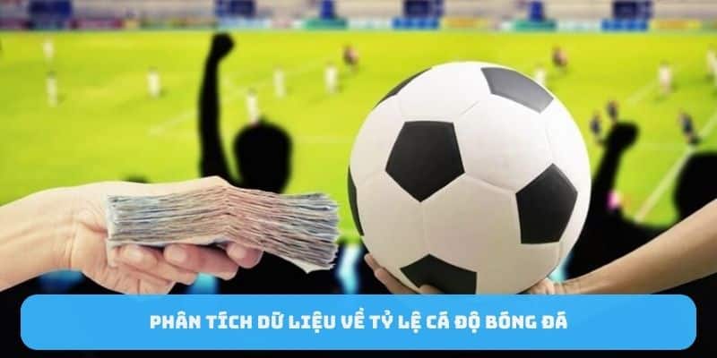 Phân tích dữ liệu về tỷ lệ cá độ bóng đá