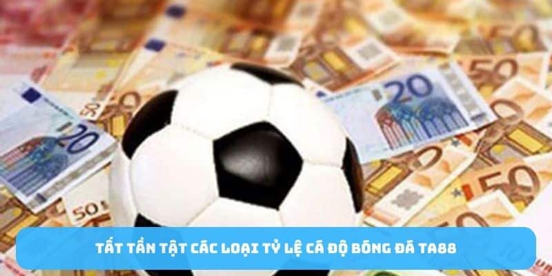 Tất tần tật các loại tỷ lệ cá độ bóng đá TA88 