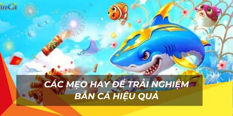 Bắn Cá TA88: Sân Chơi Cho Người Thích Khám Phá Đại Dương 3 Các mẹo hay để trải nghiệm bắn cá hiệu quả