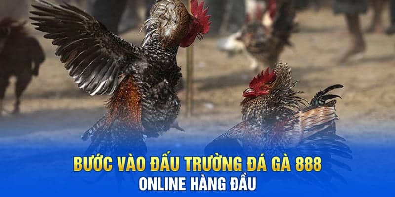 Đá Gà 888 Tại Sân Chơi TA88 Thưởng Không Giới Hạn 2025 2 Bước vào đấu trường đá gà 888 online hàng đầu