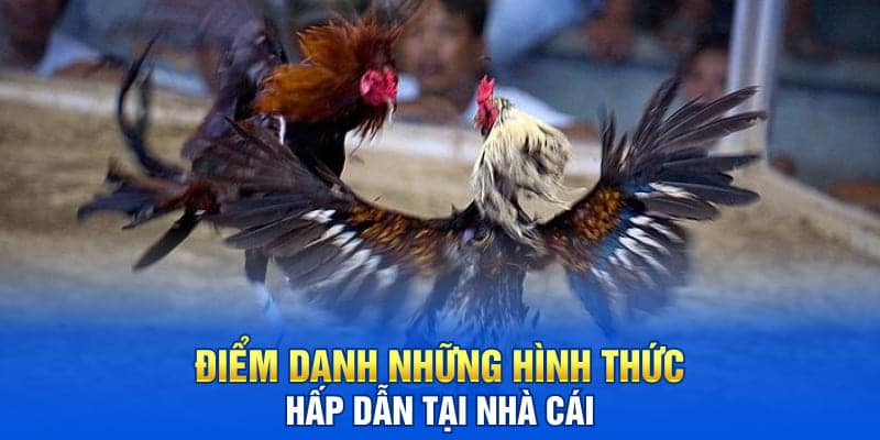 Đá Gà 888 Tại Sân Chơi TA88 Thưởng Không Giới Hạn 2025 4 Điểm danh những hình thức hấp dẫn tại nhà cái